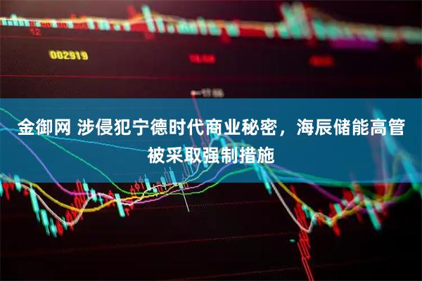 金御网 涉侵犯宁德时代商业秘密，海辰储能高管被采取强制措施