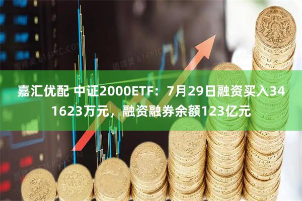 嘉汇优配 中证2000ETF：7月29日融资买入341623万元，融资融券余额123亿元