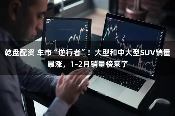 乾盘配资 车市“逆行者”！大型和中大型SUV销量暴涨，1-2月销量榜来了