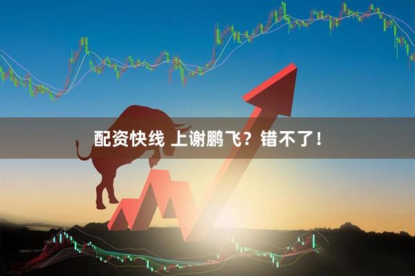 配资快线 上谢鹏飞？错不了！